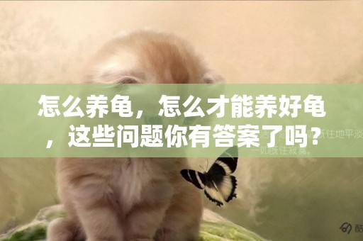 怎么養龜，怎么才能養好龜，這些問題你有答案了嗎？ 