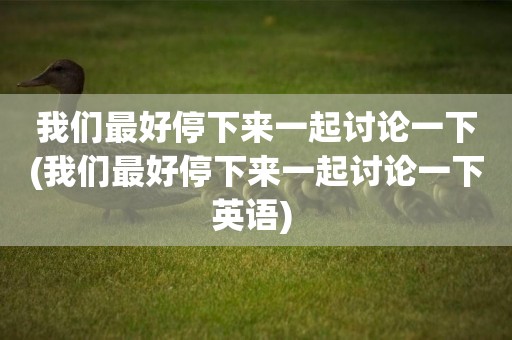 我們最好停下來一起討論一下(我們最好停下來一起討論一下英語) 