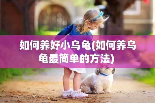 如何養好小烏龜(如何養烏龜最簡單的方法) 