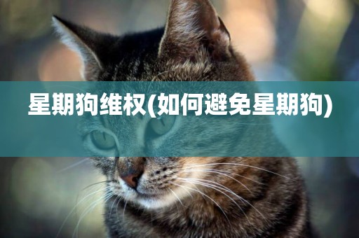 星期狗維權(如何避免星期狗) 