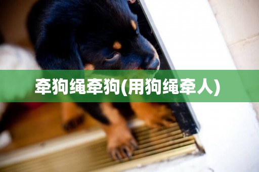 牽狗繩牽狗(用狗繩牽人) 