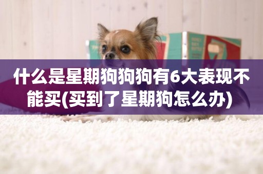 什么是星期狗狗狗有6大表現不能買(買到了星期狗怎么辦) 