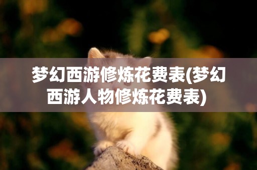 夢幻西游修煉花費表(夢幻西游人物修煉花費表) 