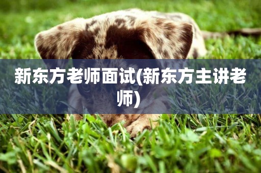 新東方老師面試(新東方主講老師) 
