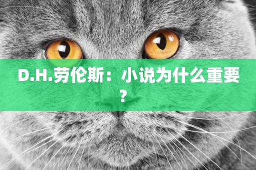 D.H.勞倫斯：小說為什么重要？ 