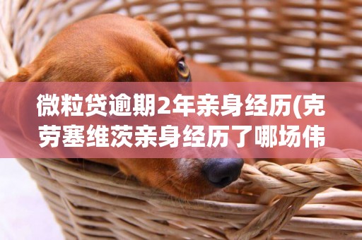 微粒貸逾期2年親身經歷(克勞塞維茨親身經歷了哪場偉大戰爭) 