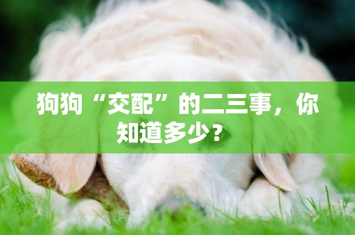 狗狗“交配”的二三事，你知道多少？ 