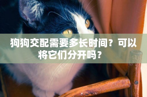 狗狗交配需要多長時間？可以將它們分開嗎？ 