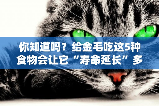 你知道嗎？給金毛吃這5種食物會讓它“壽命延長”多陪你幾年 