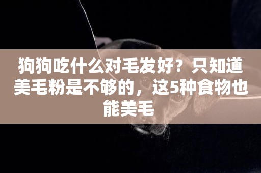 狗狗吃什么對毛發好？只知道美毛粉是不夠的，這5種食物也能美毛 