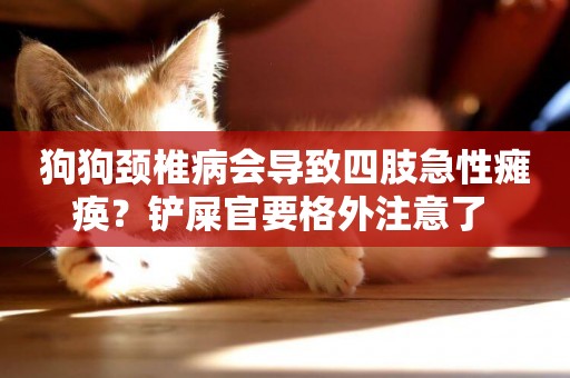 狗狗頸椎病會導致四肢急性癱瘓？鏟屎官要格外注意了 