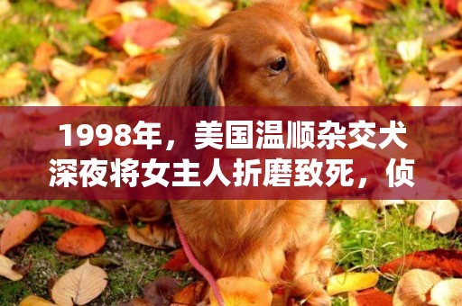 1998年，美國溫順雜交犬深夜將女主人折磨致死，偵探挖掘心酸真相 
