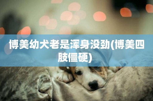 博美幼犬老是渾身沒勁(博美四肢僵硬) 