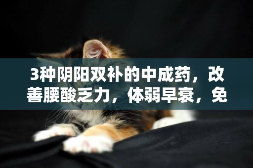3種陰陽雙補的中成藥，改善腰酸乏力，體弱早衰，免疫力低 