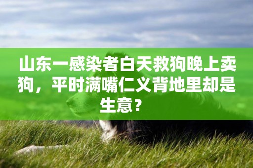 山東一感染者白天救狗晚上賣狗，平時滿嘴仁義背地里卻是生意？ 