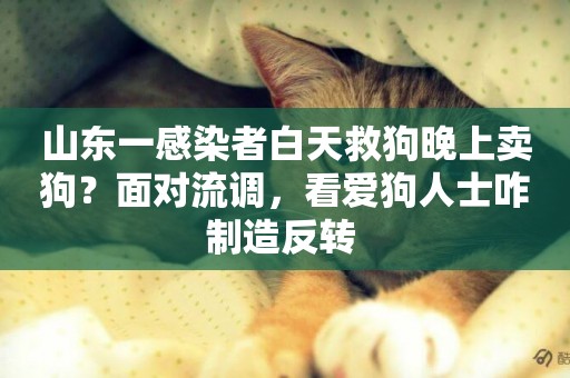 山東一感染者白天救狗晚上賣狗？面對流調，看愛狗人士咋制造反轉 