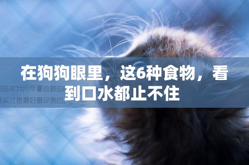 在狗狗眼里，這6種食物，看到口水都止不住 