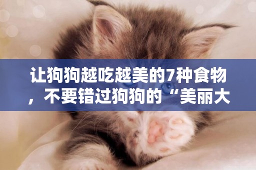 讓狗狗越吃越美的7種食物，不要錯過狗狗的“美麗大變身” 