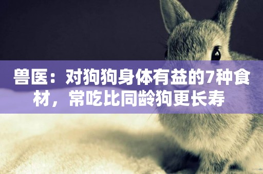 獸醫：對狗狗身體有益的7種食材，常吃比同齡狗更長壽 