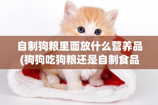 自制狗糧里面放什么營養品(狗狗吃狗糧還是自制食品好) 