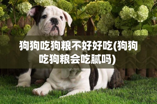 狗狗吃狗糧不好好吃(狗狗吃狗糧會吃膩嗎) 