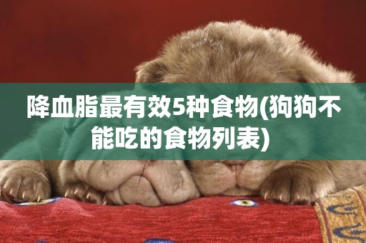 降血脂最有效5種食物(狗狗不能吃的食物列表) 
