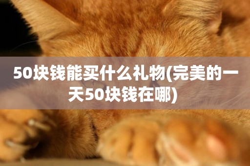 50塊錢能買什么禮物(完美的一天50塊錢在哪) 