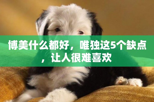 博美什么都好，唯獨這5個缺點，讓人很難喜歡 