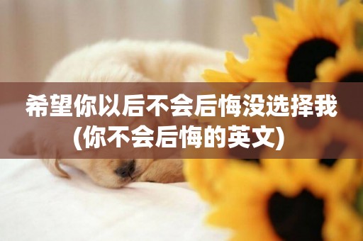 希望你以后不會后悔沒選擇我(你不會后悔的英文) 