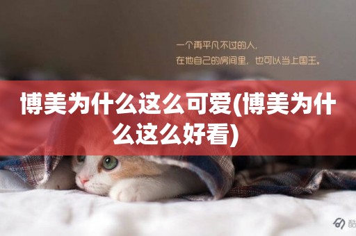 博美為什么這么可愛(博美為什么這么好看) 