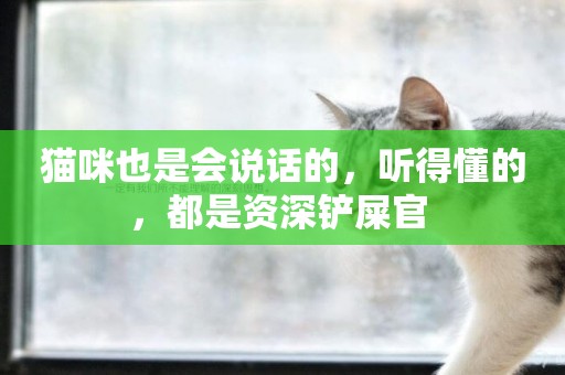 貓咪也是會說話的，聽得懂的，都是資深鏟屎官 