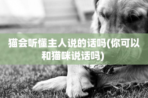 貓會聽懂主人說的話嗎(你可以和貓咪說話嗎) 