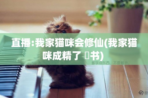 直播:我家貓咪會修仙(我家貓咪成精了 婻書) 