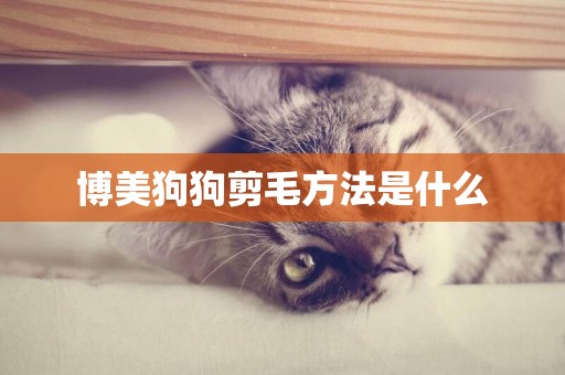 博美狗狗剪毛方法是什么