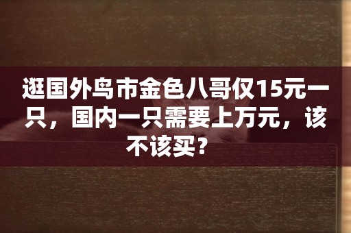 逛國外鳥市金色八哥僅15元一只，國內一只需要上萬元，該不該買？ 