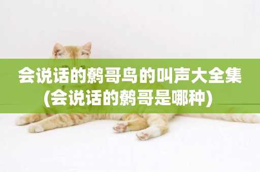 會說話的鷯哥鳥的叫聲大全集(會說話的鷯哥是哪種) 