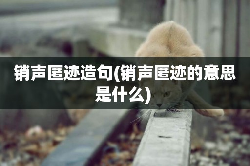 銷聲匿跡造句(銷聲匿跡的意思是什么) 