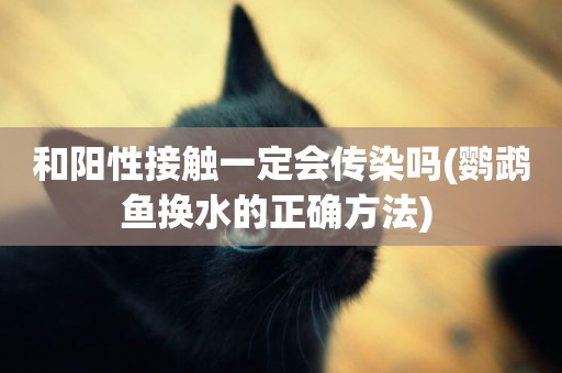 和陽性接觸一定會傳染嗎(鸚鵡魚換水的正確方法) 