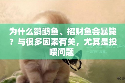 為什么鸚鵡魚、招財魚會暴斃？與很多因素有關，尤其是投喂問題 
