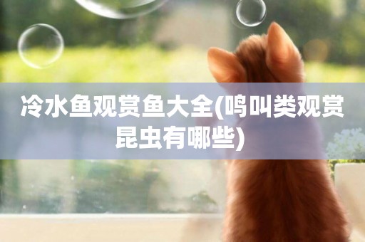 冷水魚觀賞魚大全(鳴叫類觀賞昆蟲有哪些) 