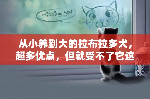 從小養到大的拉布拉多犬，超多優點，但就受不了它這一點 