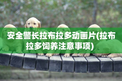 安全警長拉布拉多動畫片(拉布拉多飼養注意事項) 
