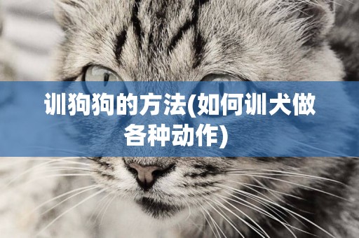 訓狗狗的方法(如何訓犬做各種動作) 