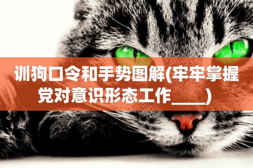訓狗口令和手勢圖解(牢牢掌握黨對意識形態工作____) 