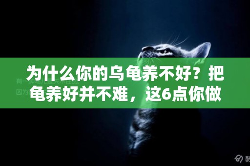 為什么你的烏龜養不好？把龜養好并不難，這6點你做到了嗎？ 