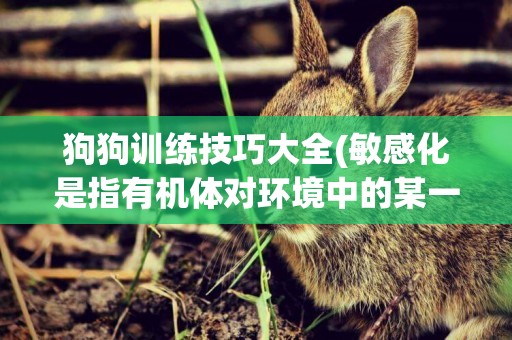 狗狗訓練技巧大全(敏感化是指有機體對環境中的某一個特定的刺激更容易作出反應對嗎) 