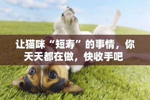 讓貓咪“短壽”的事情，你天天都在做，快收手吧 