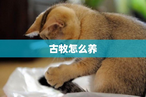 古牧怎么養