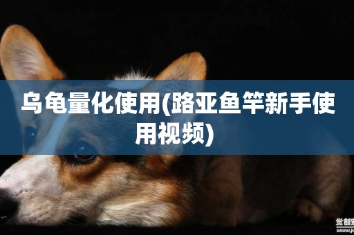 烏龜量化使用(路亞魚竿新手使用視頻) 