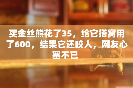買金絲熊花了35，給它搭窩用了600，結果它還咬人，網友心塞不已 